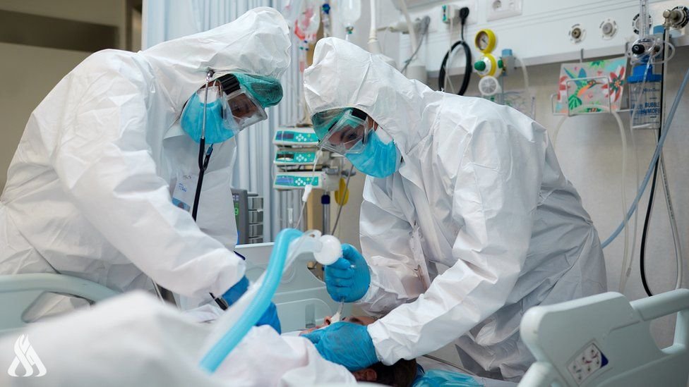 الصين سلالة