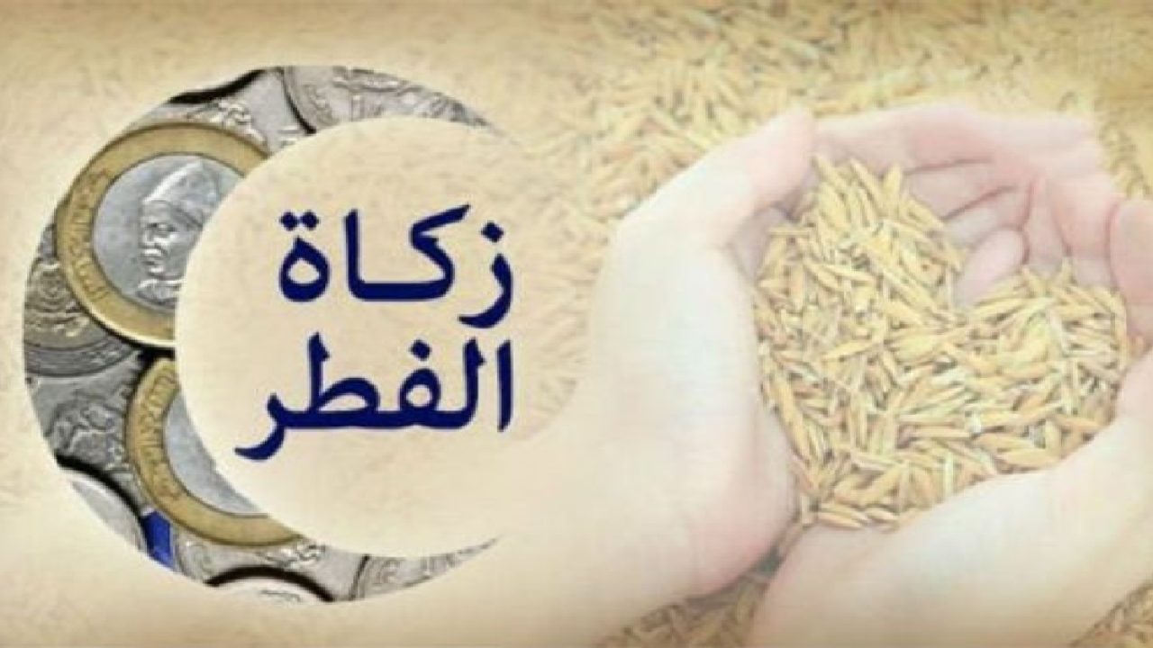 زكاة الفطر