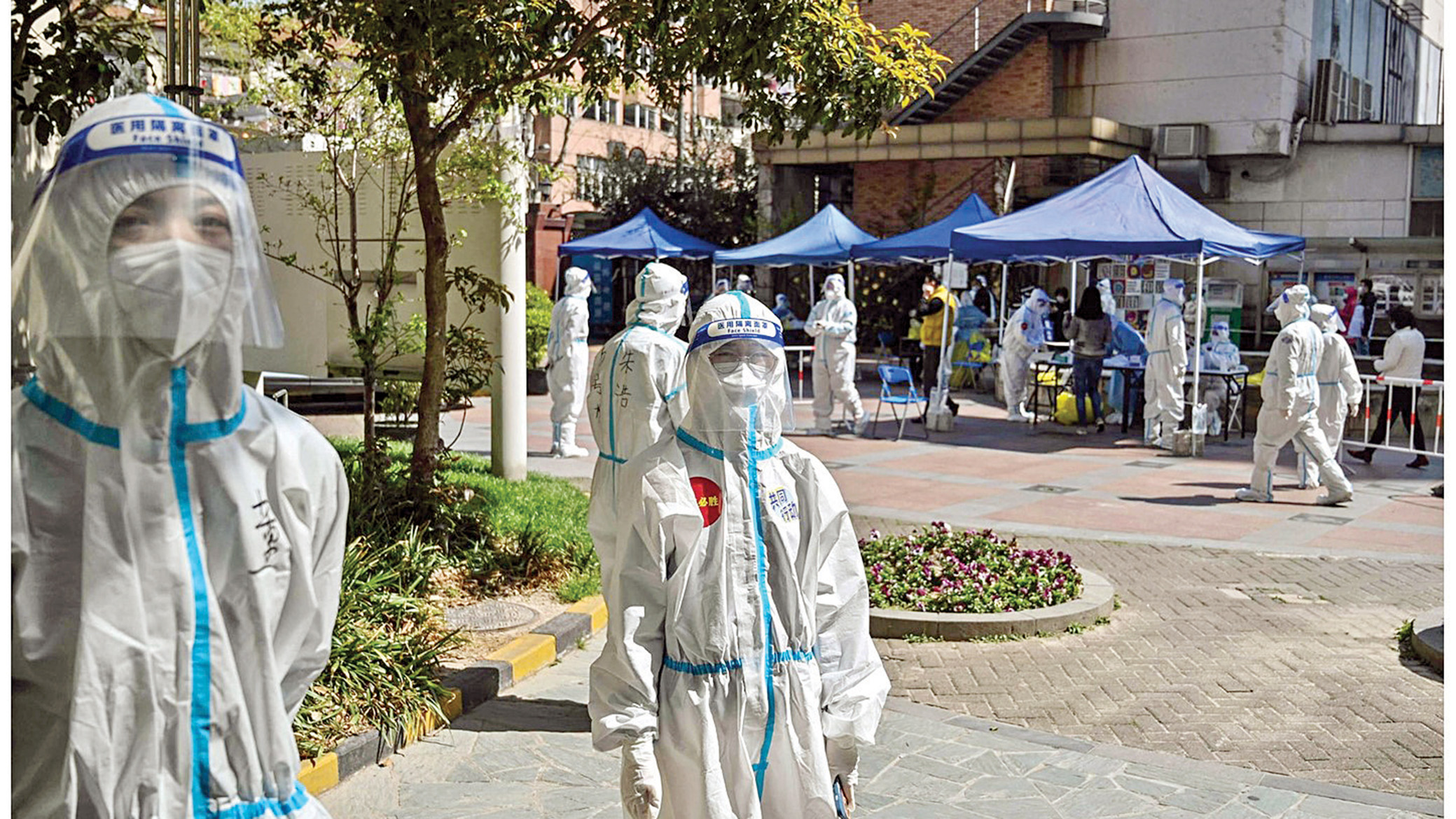 كورونا الصين