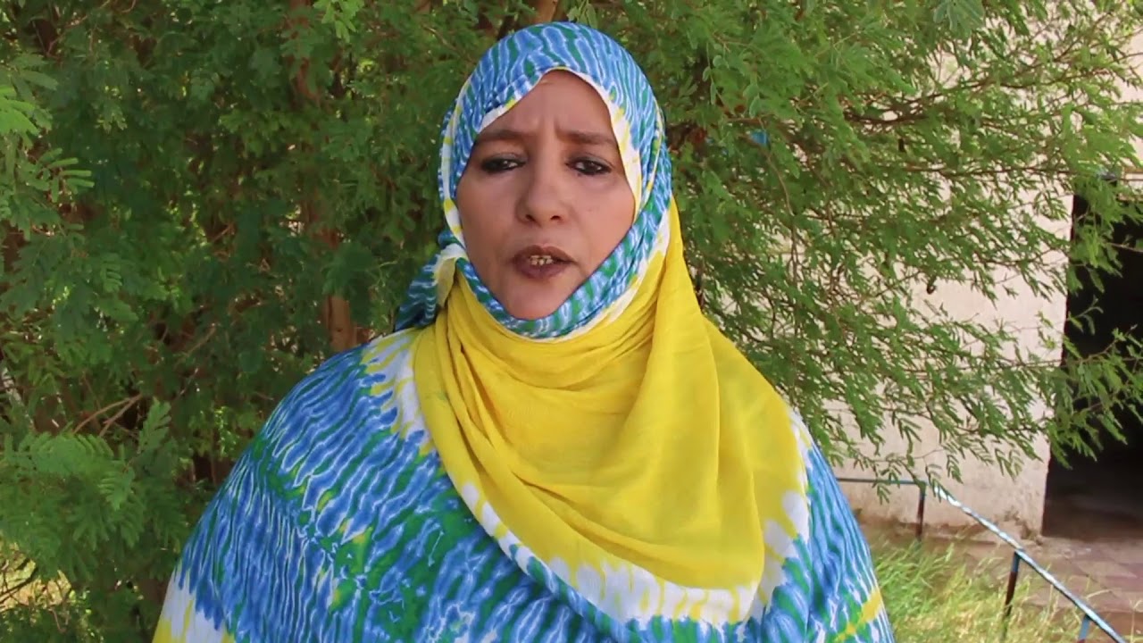 البوليساريو