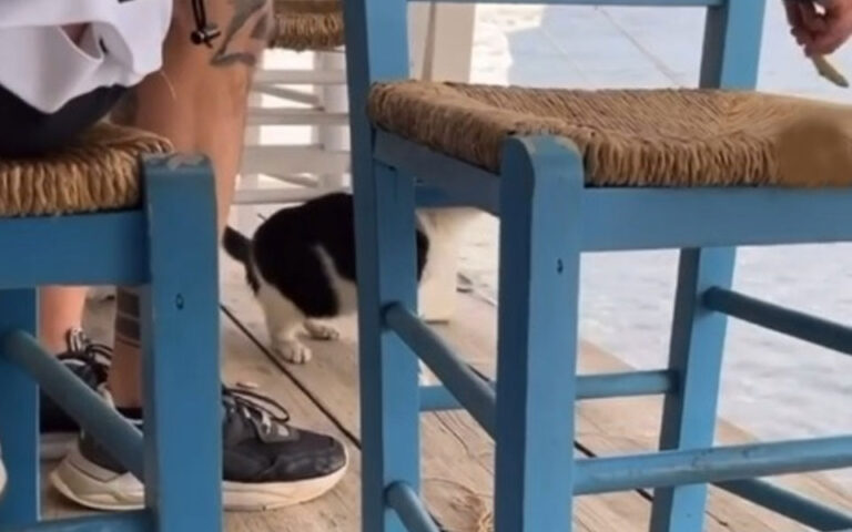اليونان