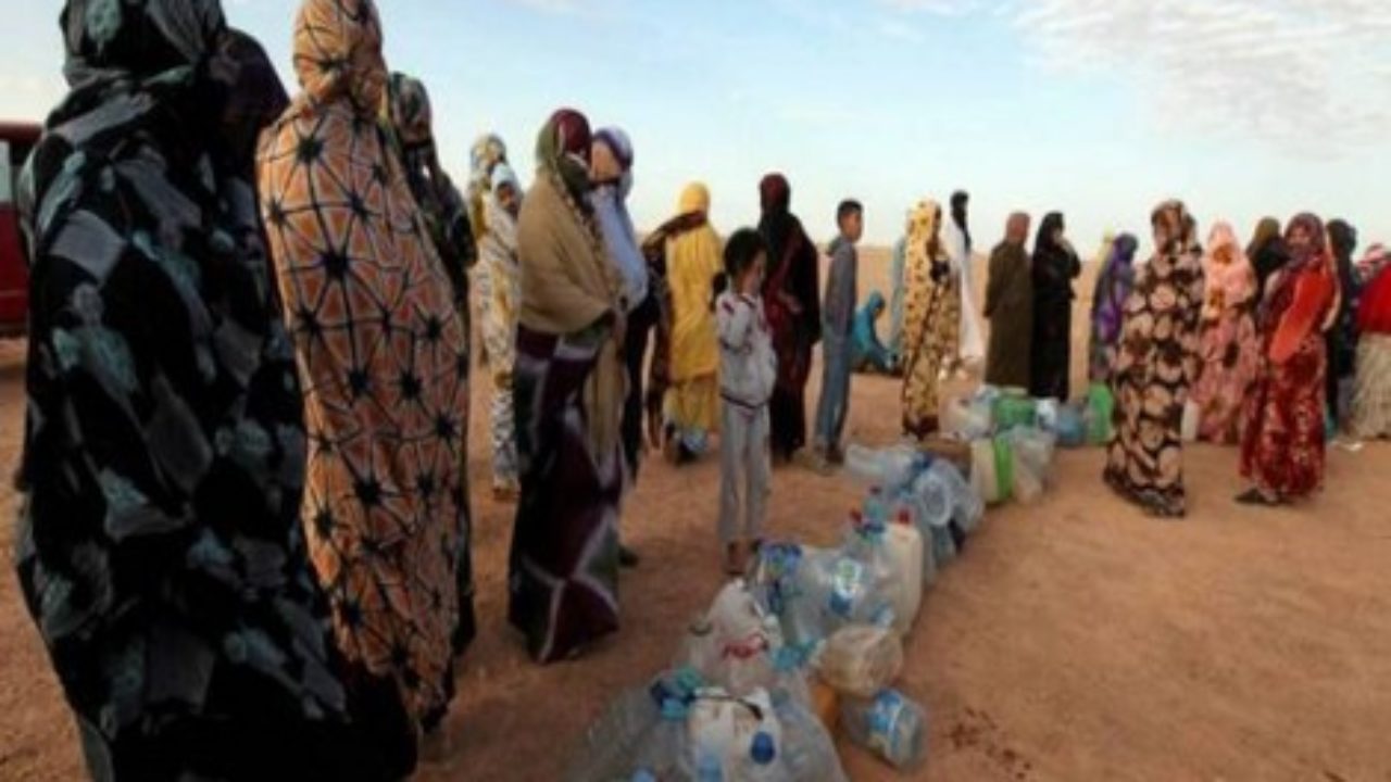 البوليساريو