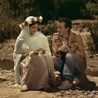 سيكا