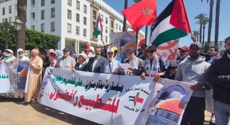 مجموعة العمل الوطنية من أجل فلسطين