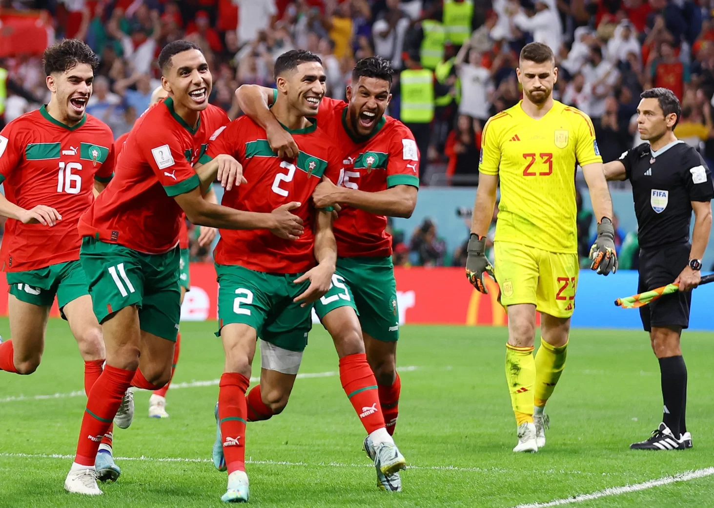 أسود الأطلس