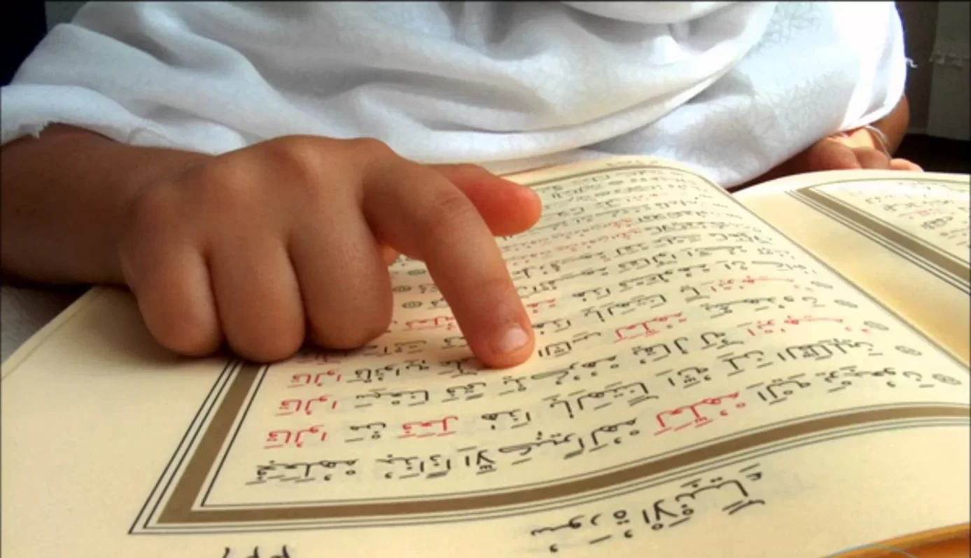 هولندا اليميني