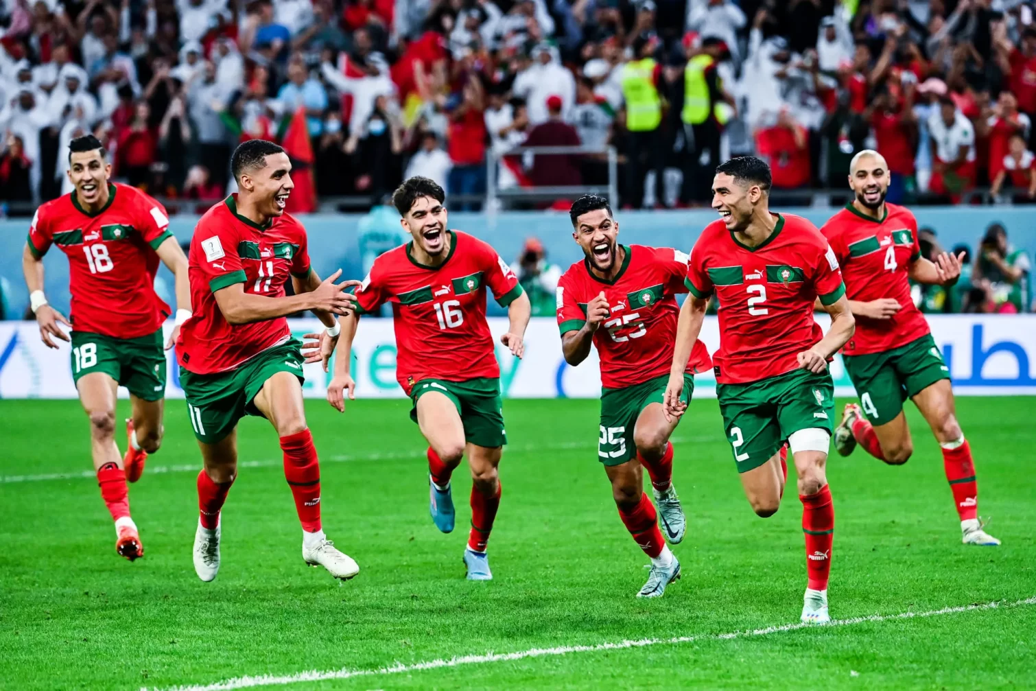 الملك المنتخب