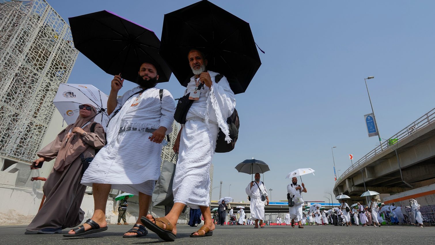 الحجاج