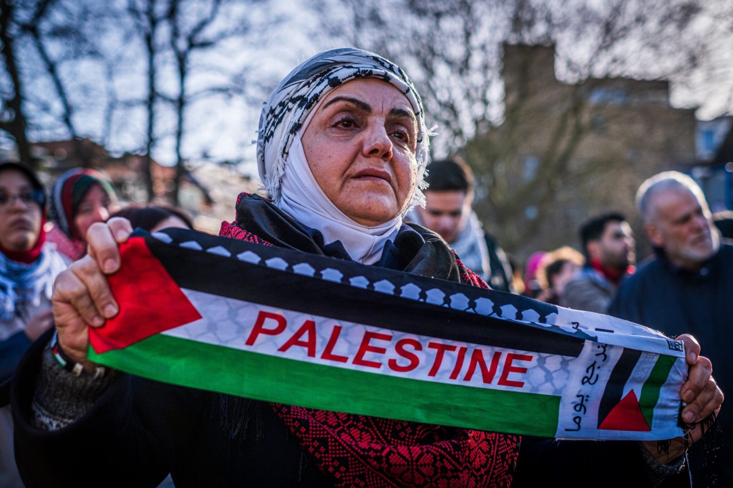 هولندا فلسطين