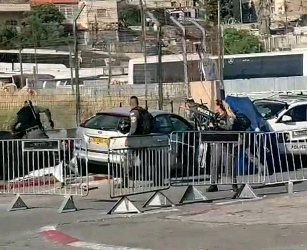 مجندة