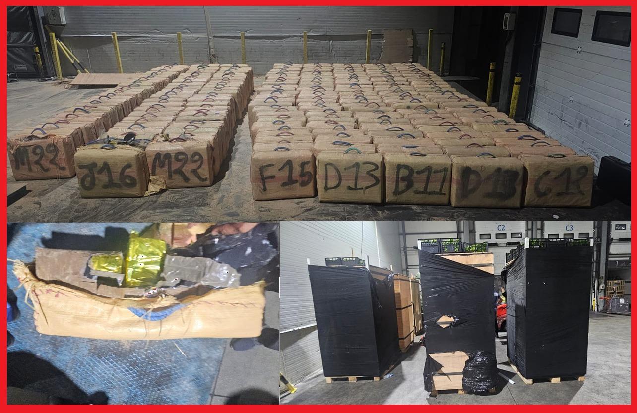 تهريب الشيرا