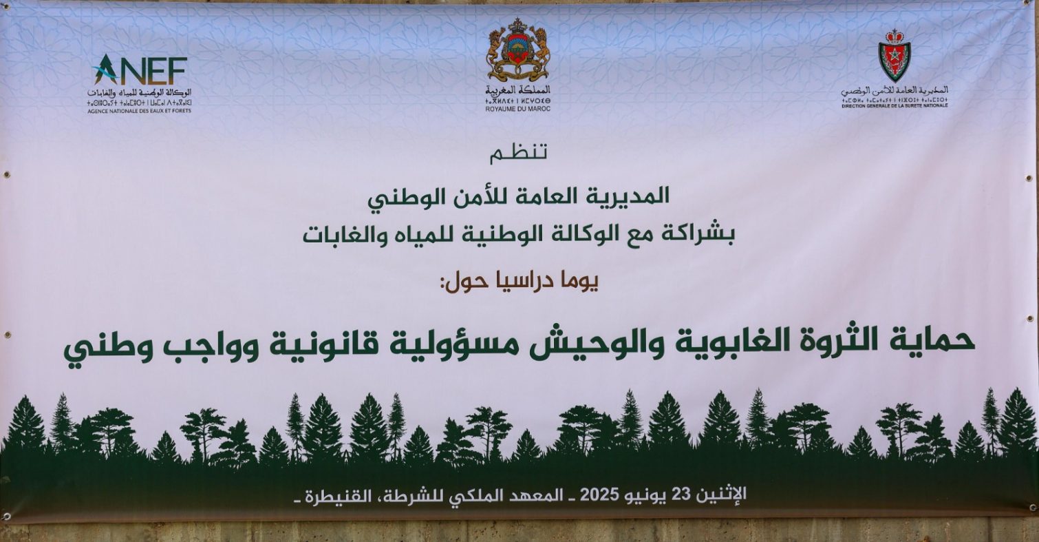 حموشي