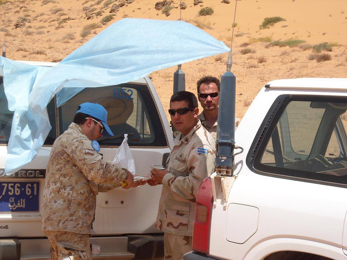 بوليساريو