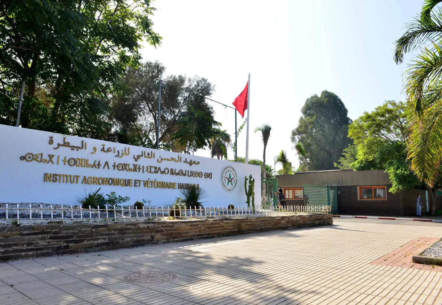 الزراعة والبيطرة