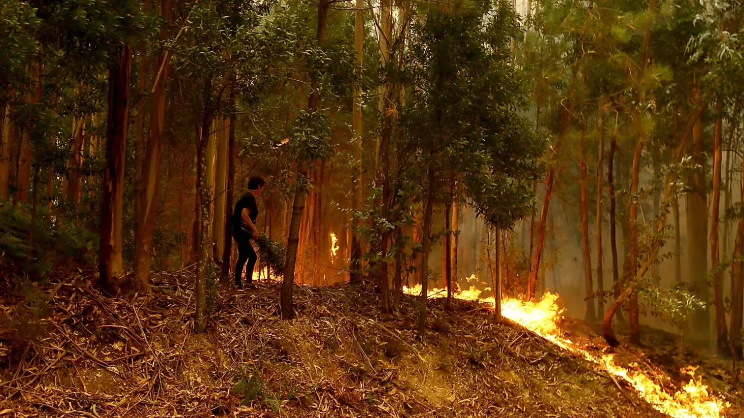 حرائق مراهق