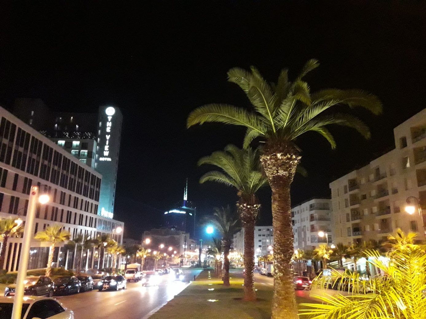 النخيل