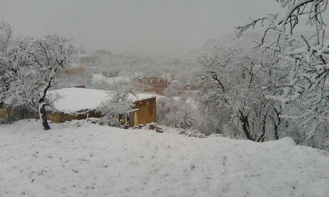 نشرة تساقطات مطرثة