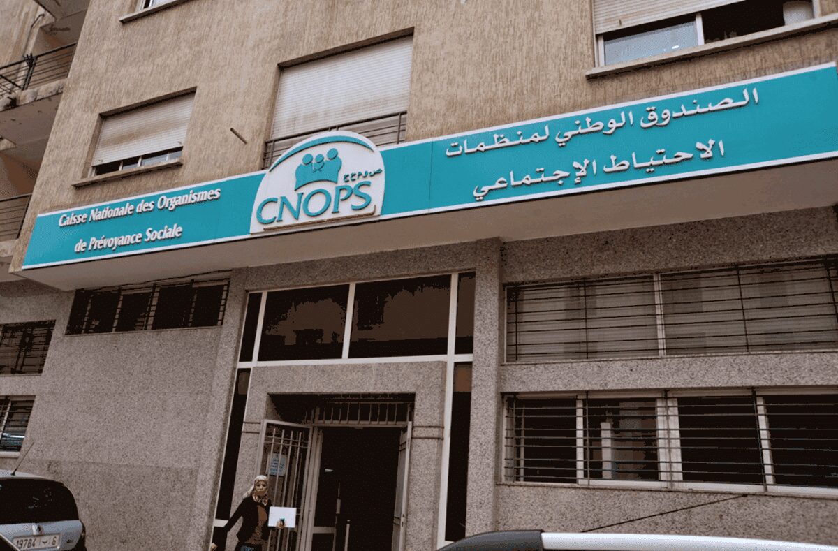 كنوبس