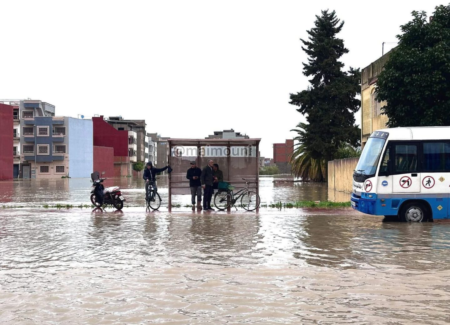 العرائش الفضاء