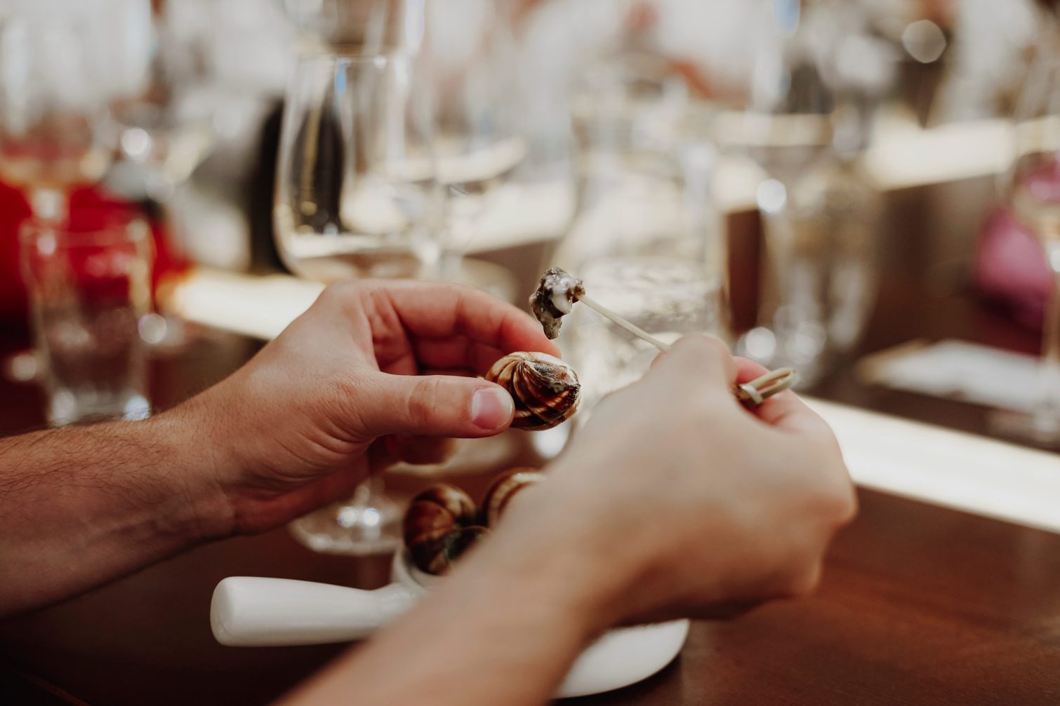 حماية الحلزون