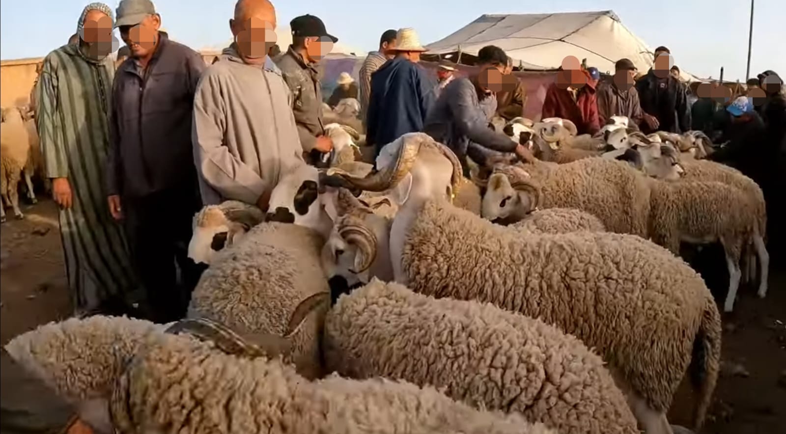 الحكومة