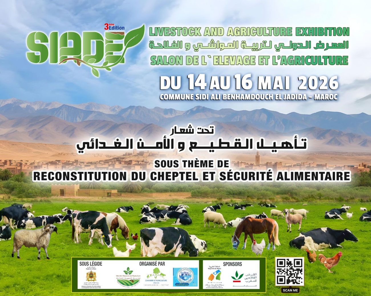 الجديدة معرض
