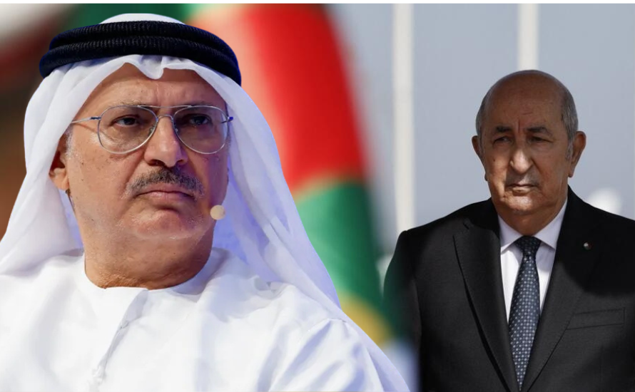 أول رد إماراتي على قطع الجزائر العلاقات الدبلوماسية مع أبوظبي.. أنور قرقاش يؤكد أهمية العقل والتواصل ووضوح المصالح.